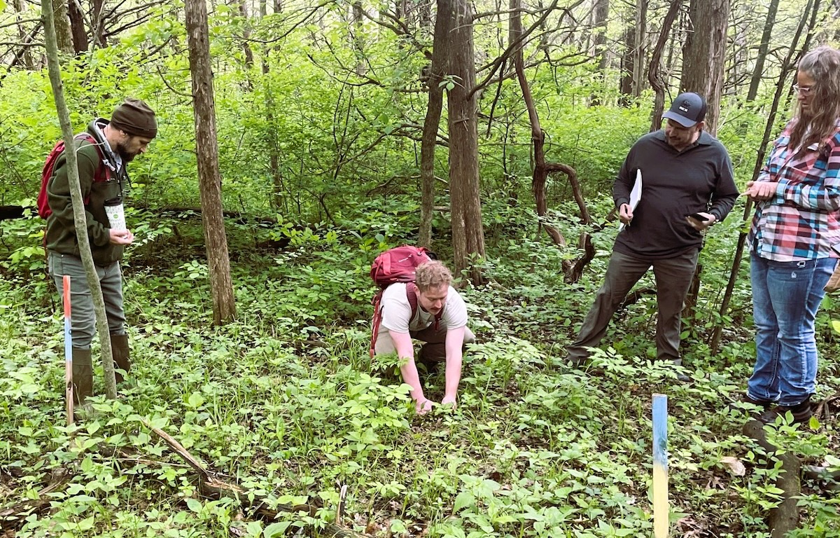 During the forest farming workshop, attendees explore shaded planting areas and discuss site preparation techniques at LU’s Busby Farm.