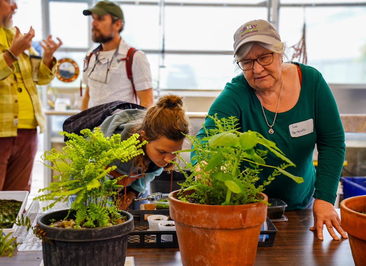 An older woman and a younger woman lean over a table inspecting ferns.